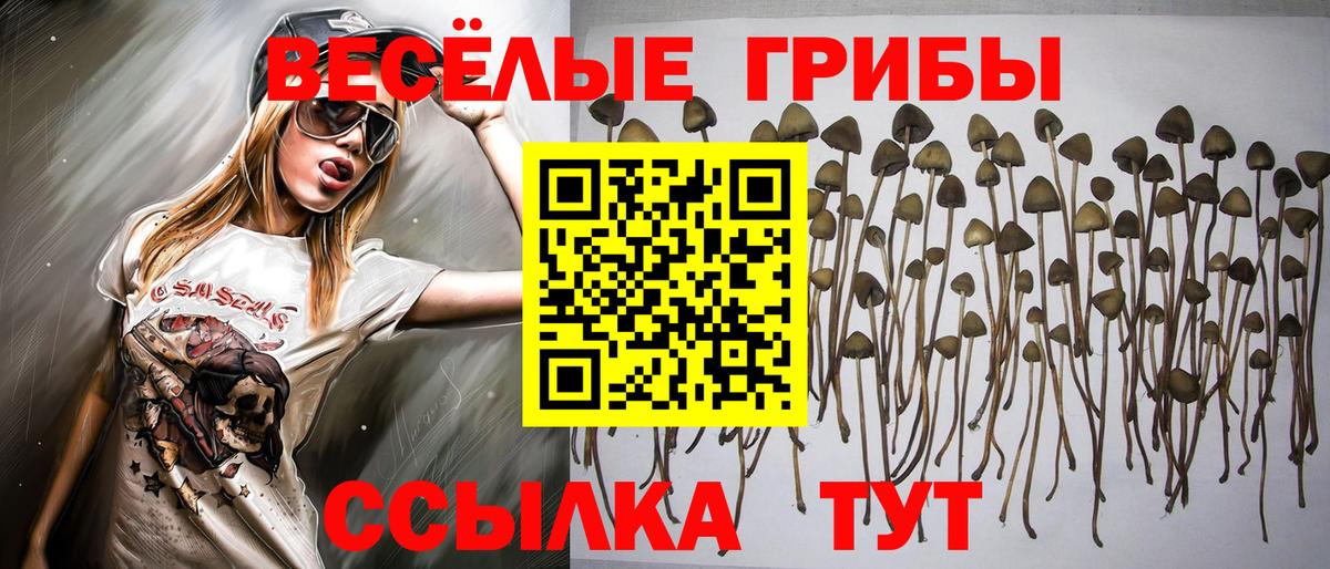 Галлюциногенные грибы ЛСД  Вход с VPN  магазин    Галлюциногенные грибы Psilocybe  Алушта 