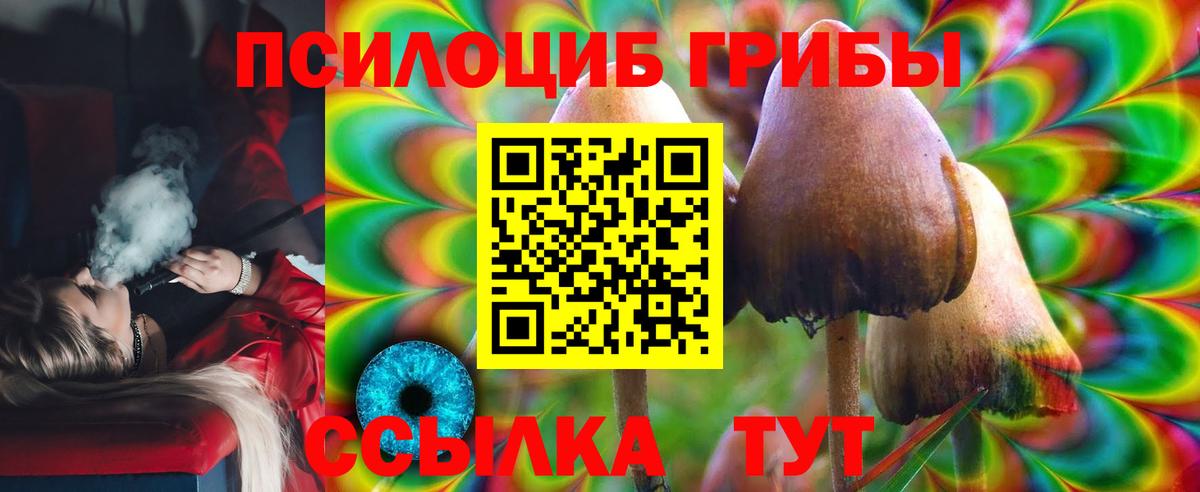 Галлюциногенные грибы Psilocybe Алушта